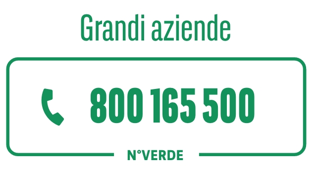 Numero Verde Servizio Clienti Grandi Aziende 800 165 500